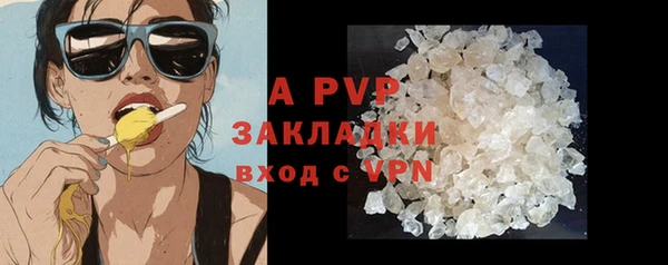 apvp Верея